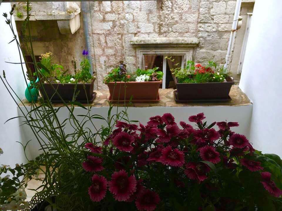 Puntin Rooms Sobe Korčula Buitenkant foto